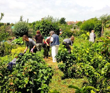 13432268_1159507787403684_6477096929239822634_n