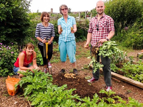 13494783_1159507677403695_7225951916810712398_n