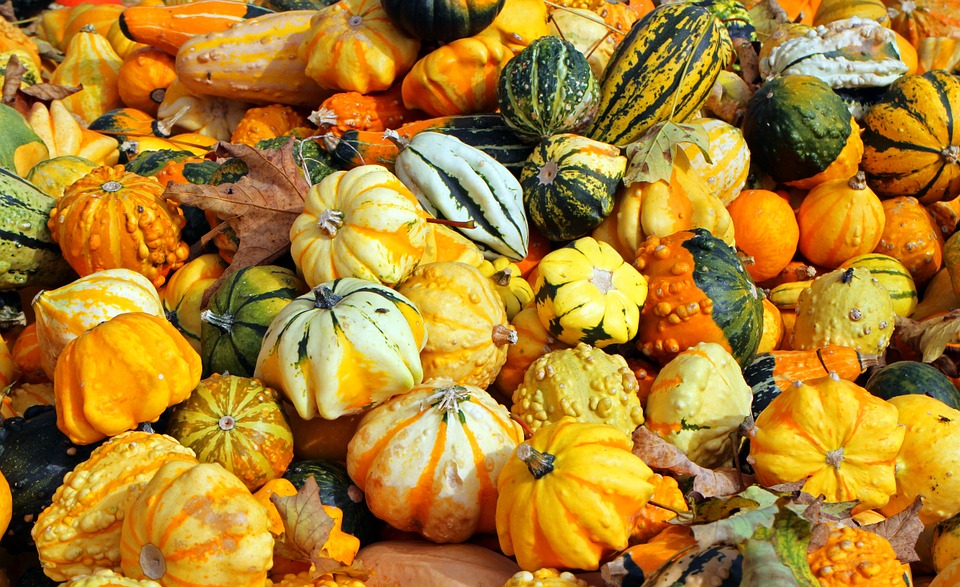 Orange Autumn Vegetables October Harvest Pumpkins