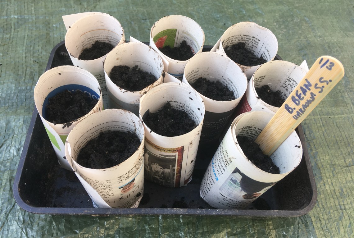 5 Finished pots