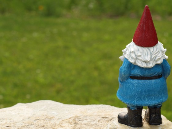 Garden gnome