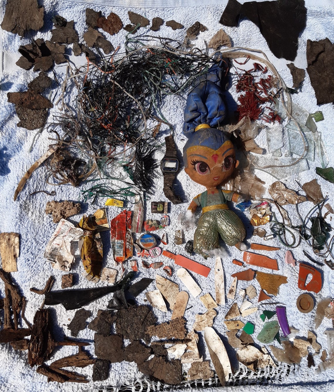 Brishba and her rubbish environment