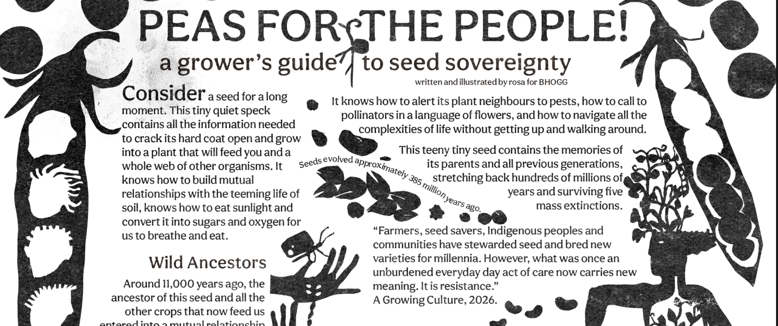 Seed sovereignty infographic clip
